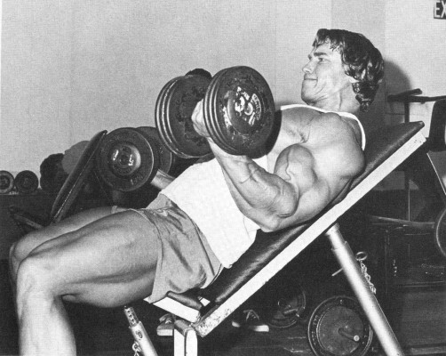 Arnold Schwarzenegger pic #86459